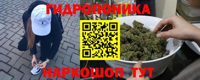 стаф Шахты