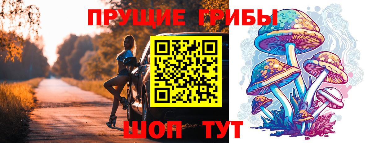 Галлюциногенные грибы Psilocybine cubensis  Вход с VPN  Баксан  Псилоцибиновые грибы MAGIC MUSHROOMS 